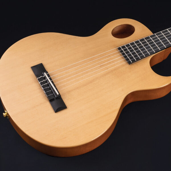 Guitar 1