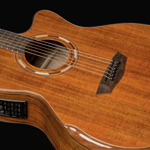 Guitar 1