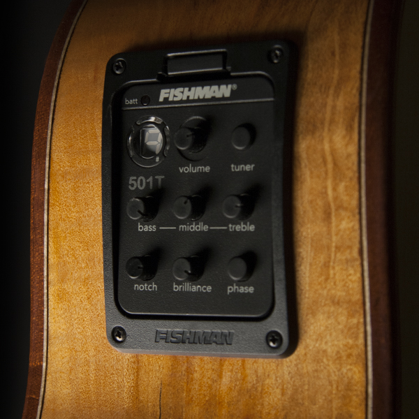 Guitar 1