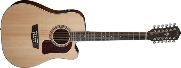12 String Acoustic