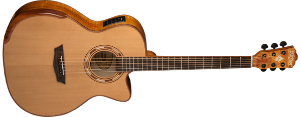 G66SCE Spalt Maple
