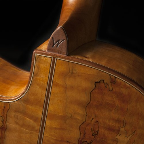 G66SCE Spalt Maple