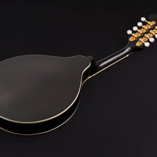 M1SD
