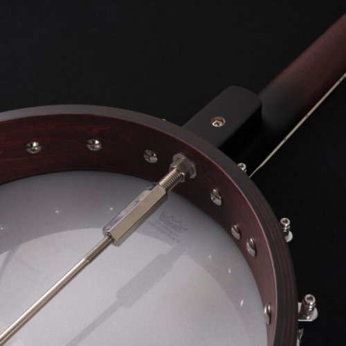 B7