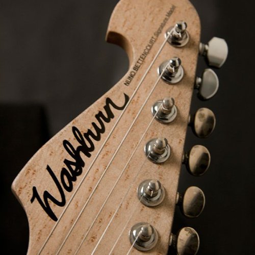 N4-Nuno Authentic USA