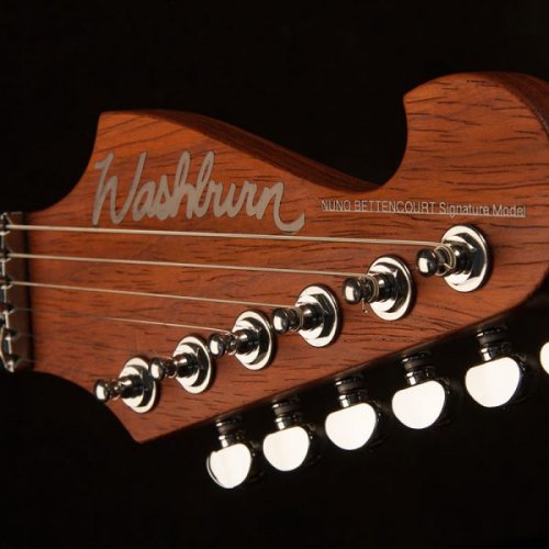 N4-Nuno Padauk USA