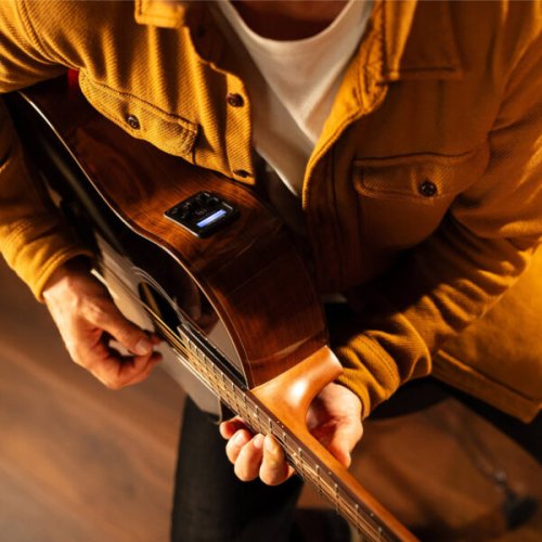 Vite S9V